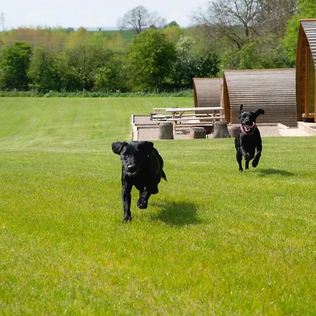 Camping Sedgewell Barn *